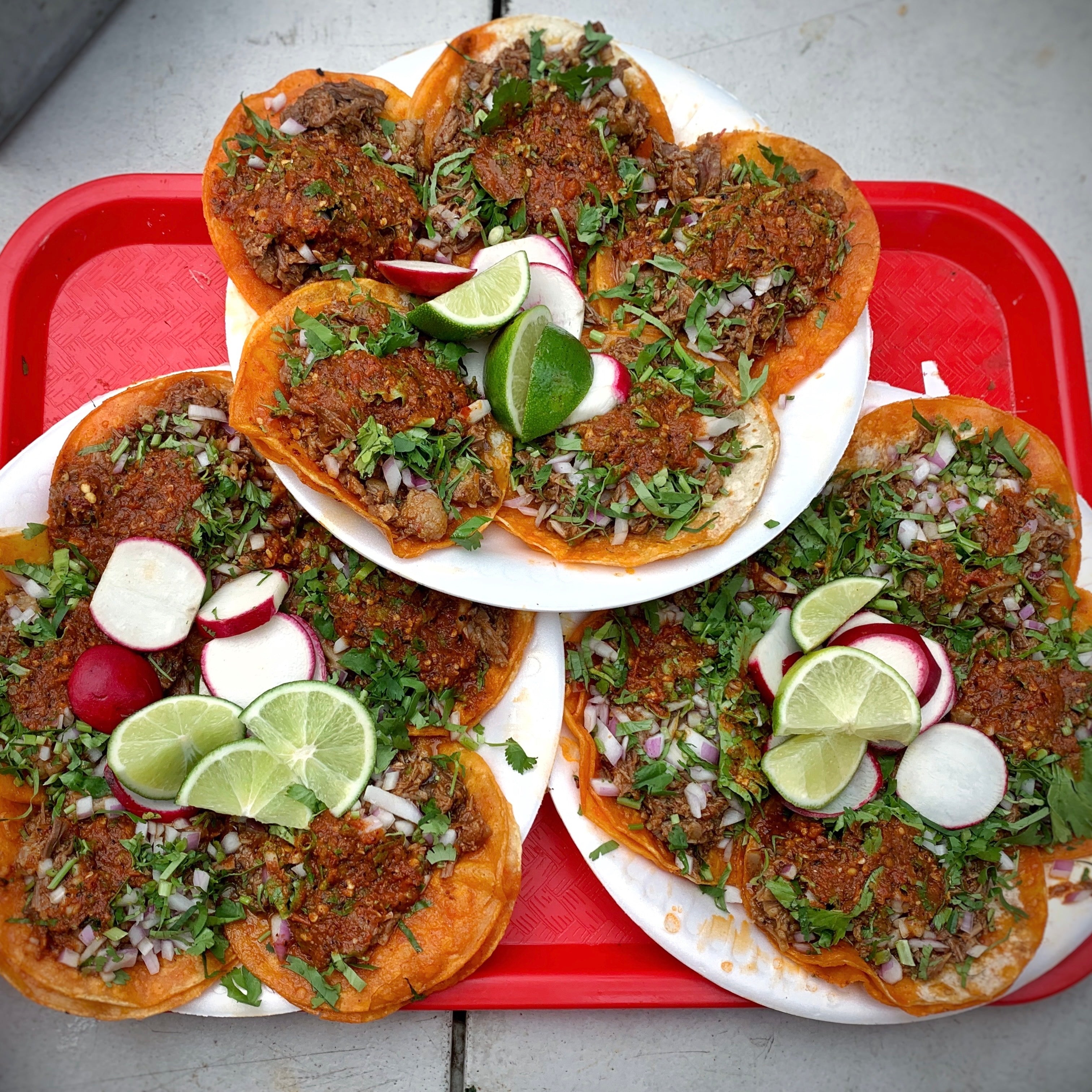 Birria tacos at Teddy's Red Tacos in Venice, California.
