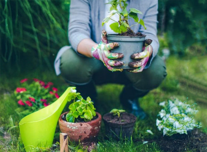 The Best Garden Tools and Essentials, According to HGTV Gardening Experts