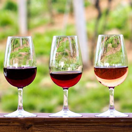 How to taste wine