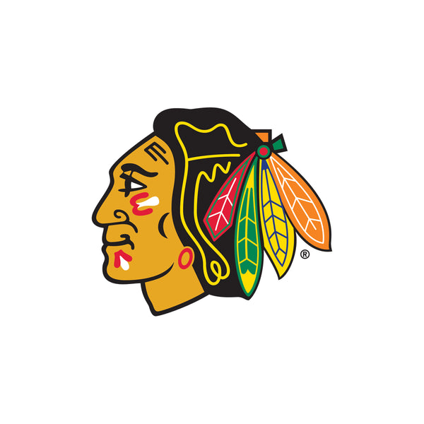 Chicago Blackhawks Logo