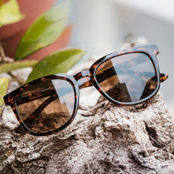 Knockaround Polarized Sunglasses