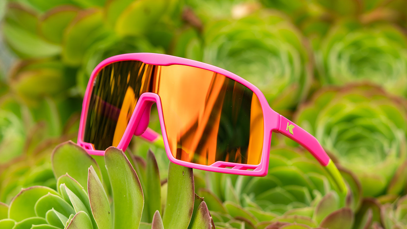Lifestyle photo of Spring Break Campeones Sunglasses
