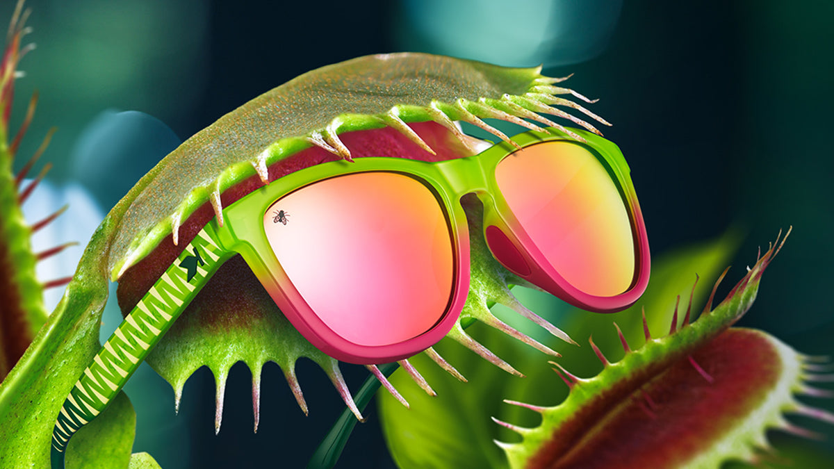 Venus Flytrap Sunglasses 