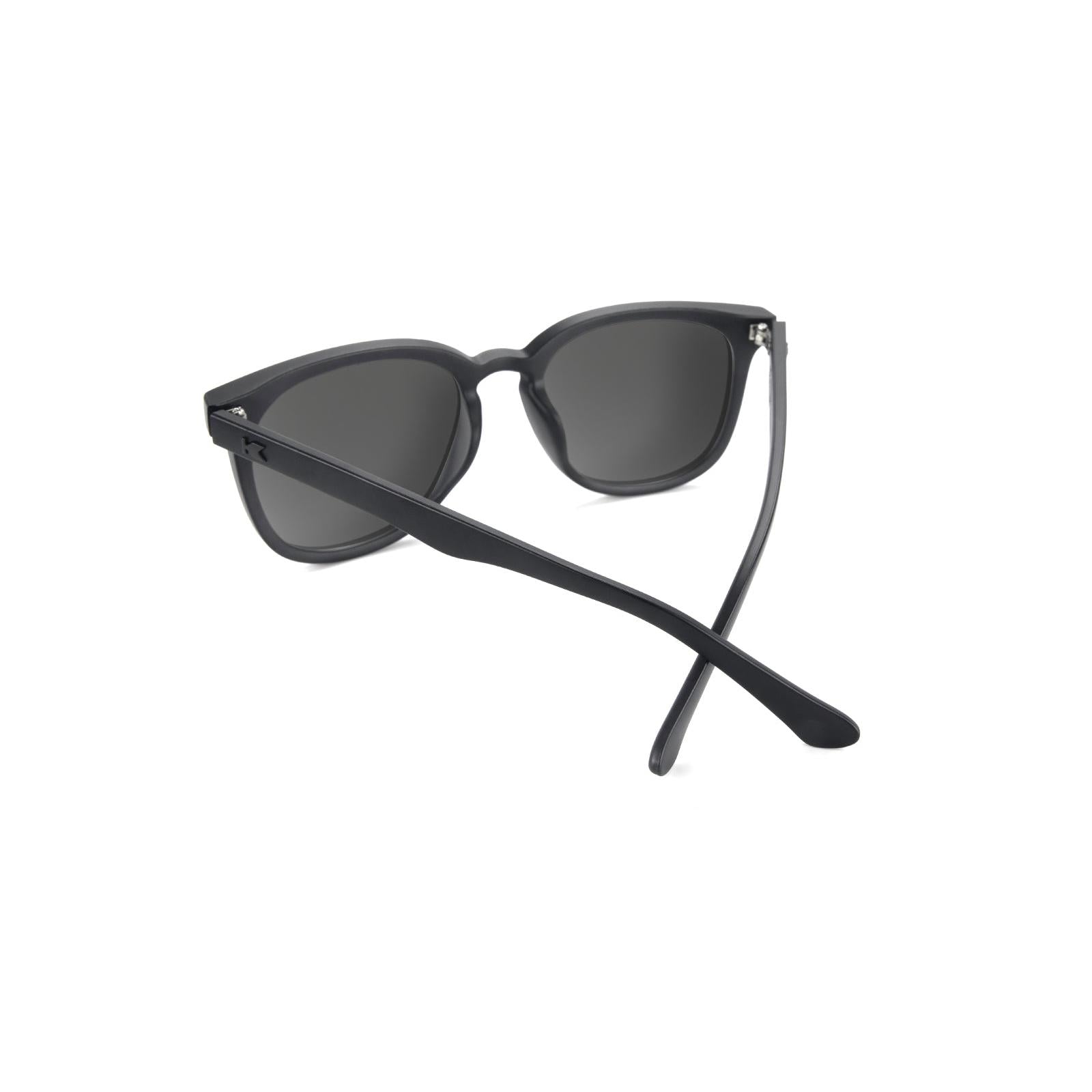 Sunglasses with Matte Black Frames and Polarized Black Smoke Lenses, Back