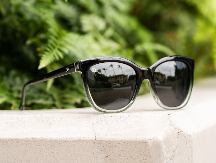 Deja Views sunglasses