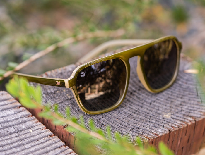 Pacific Palisades Sunglasses