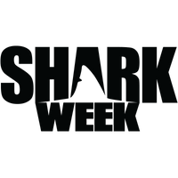 Knockaround Shark Week Sunglasses