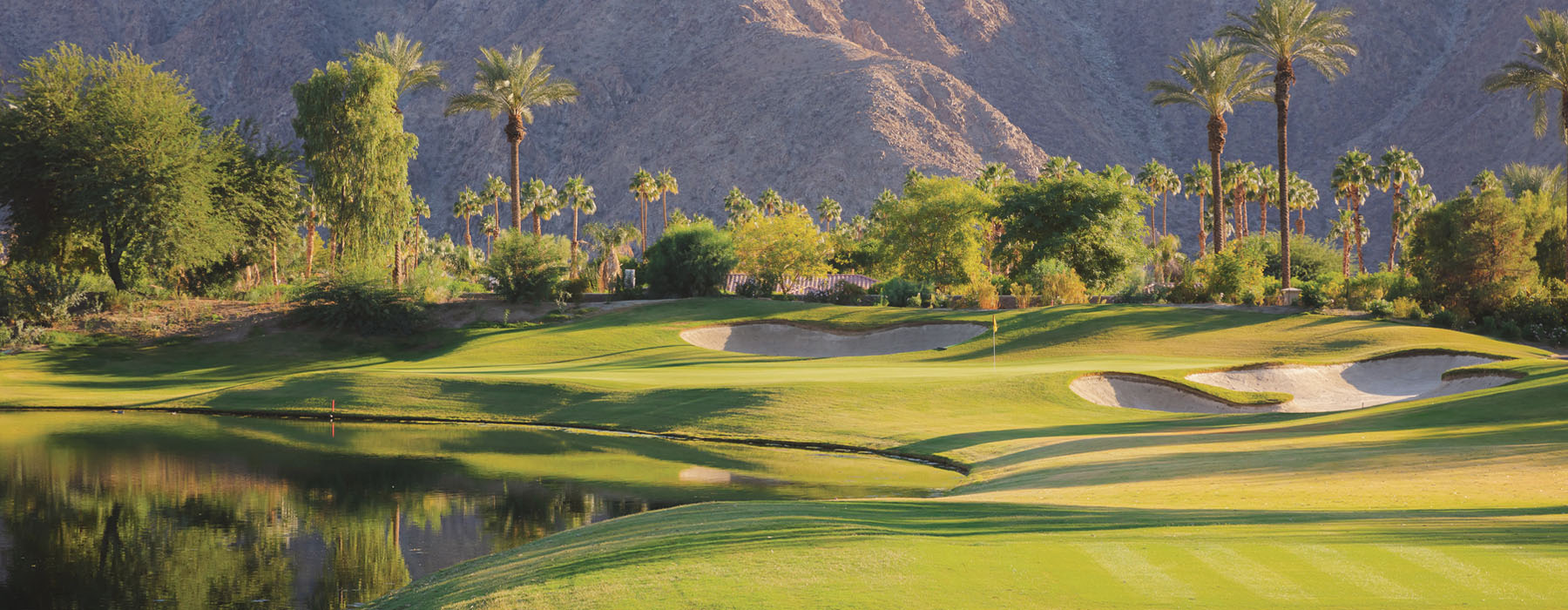 without Knockterra+ lenses