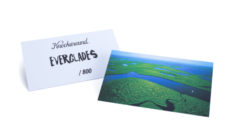 Knockaround Everglades Sunglasses, Card
