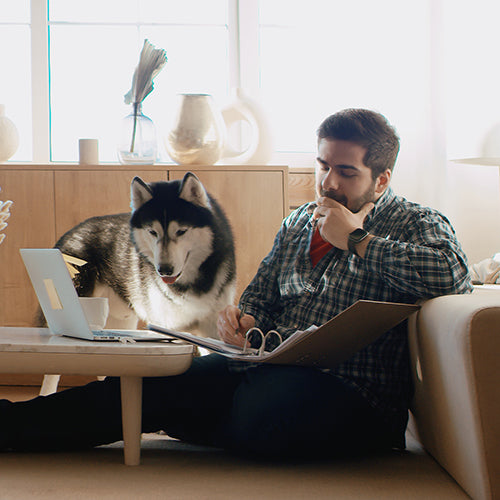 Working from home destinations