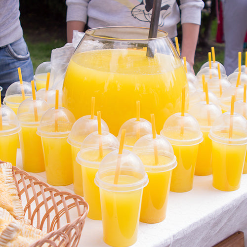 8 Fun West Coast Festivals