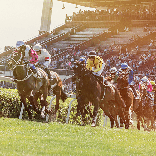 Tips to Consider for Your Next Horse Race