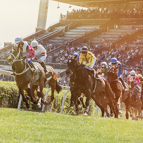 How do you bet on horse races