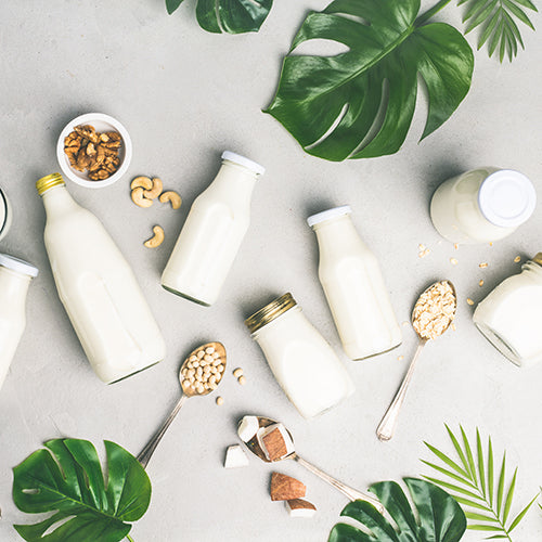 Dairy free milk alternatives and ingredients