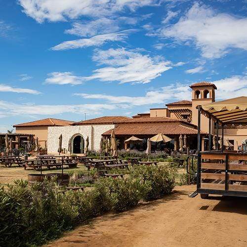 Top 4 Wineries to Visit in Valle de Guadalupe