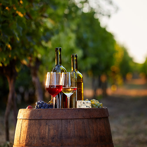 Two glasses of white and red wine with bottles in a vineyard at sunset