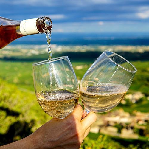 The Best Wines for Your Next Picnic