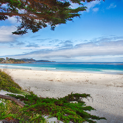 10 Best Beach Towns in California for Your Next Escape