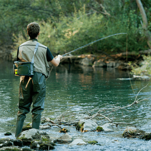 A Beginner’s Guide to Fishing