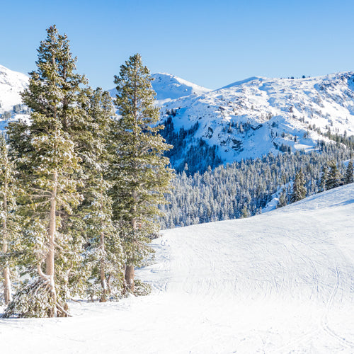 The Best Places to Ski & Snowboard on the West Coast