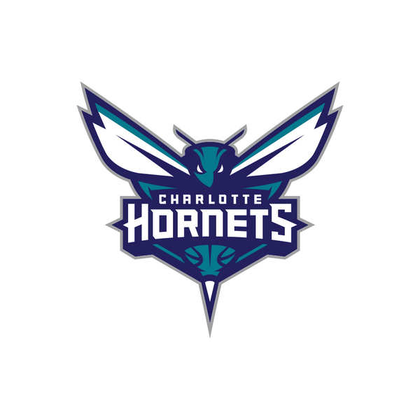 Charlotte Hornets Sunglasses