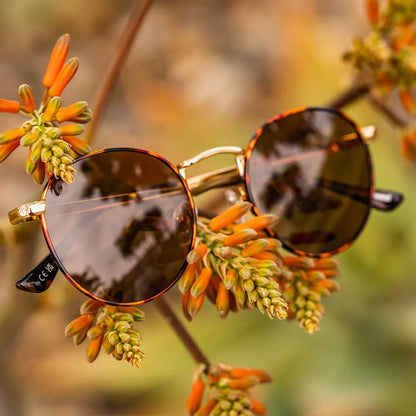 Lifestyle photo of No Alibi Love & Haights Sunglasses