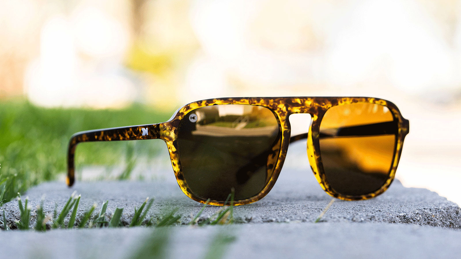 Matte Tortoise Shell / Amber Pacific Palisades