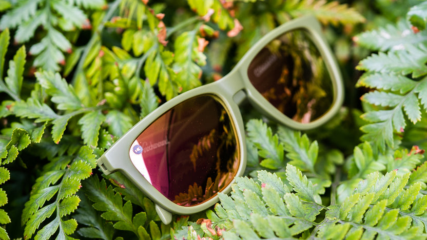 Sunglasses with Olive Frames and Polarized Rose Gold Lenses, Lifestyle