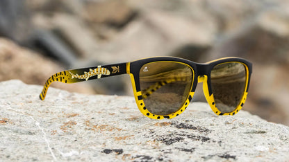 Lifestyle photo of Shark Week Premiums 2025 Sunglasses