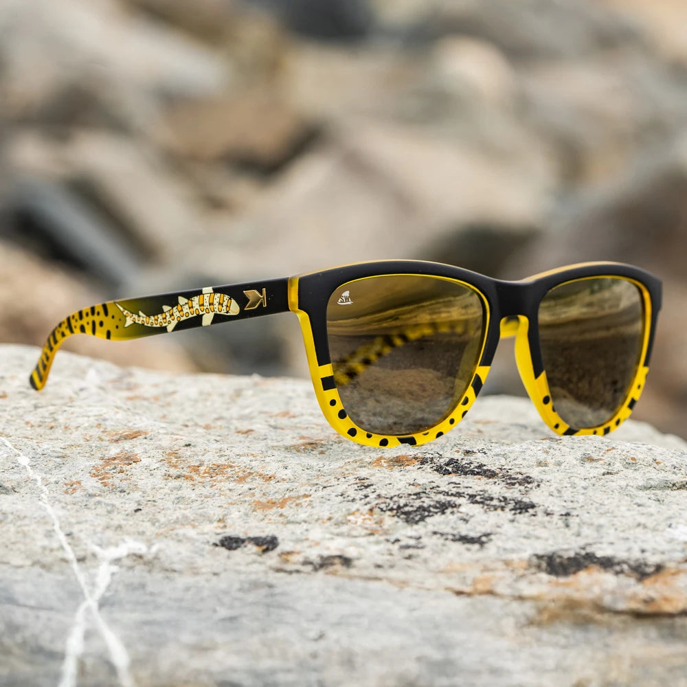 Lifestyle photo of Shark Week Premiums 2025 Sunglasses
