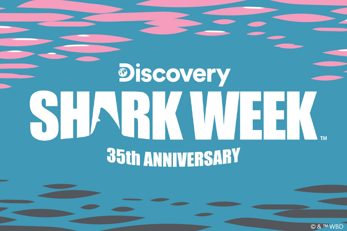 Shark Week Poster