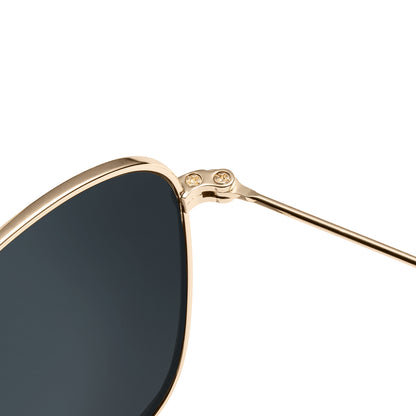 Gold / Sky Blue Mount Evans Sunglasses, Hinge