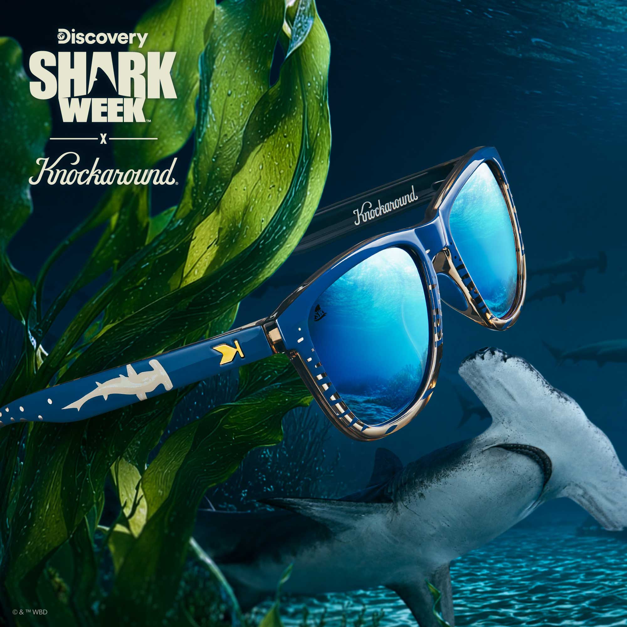 Discovery Shark Week 2026 Square Polarized Sunglasses for Medium Heads