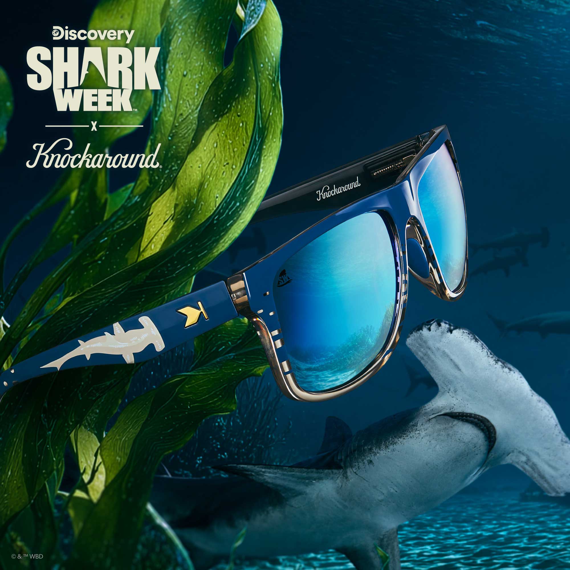 gnf goggles Knockaround Shark Week Torrey Pines Sport 2026 Sunglasses
