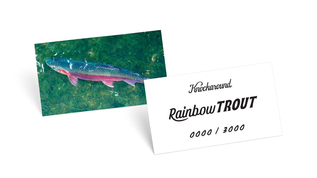 Rainbow Trout Sunglasses