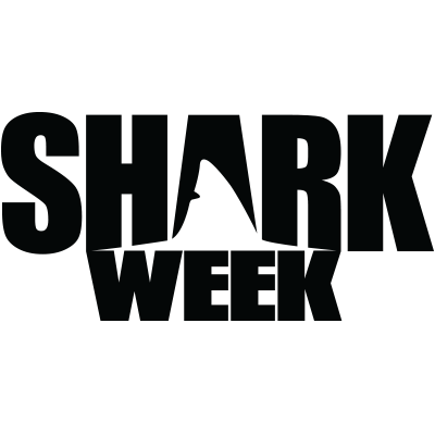 Knockaround Shark Week Sunglasses
