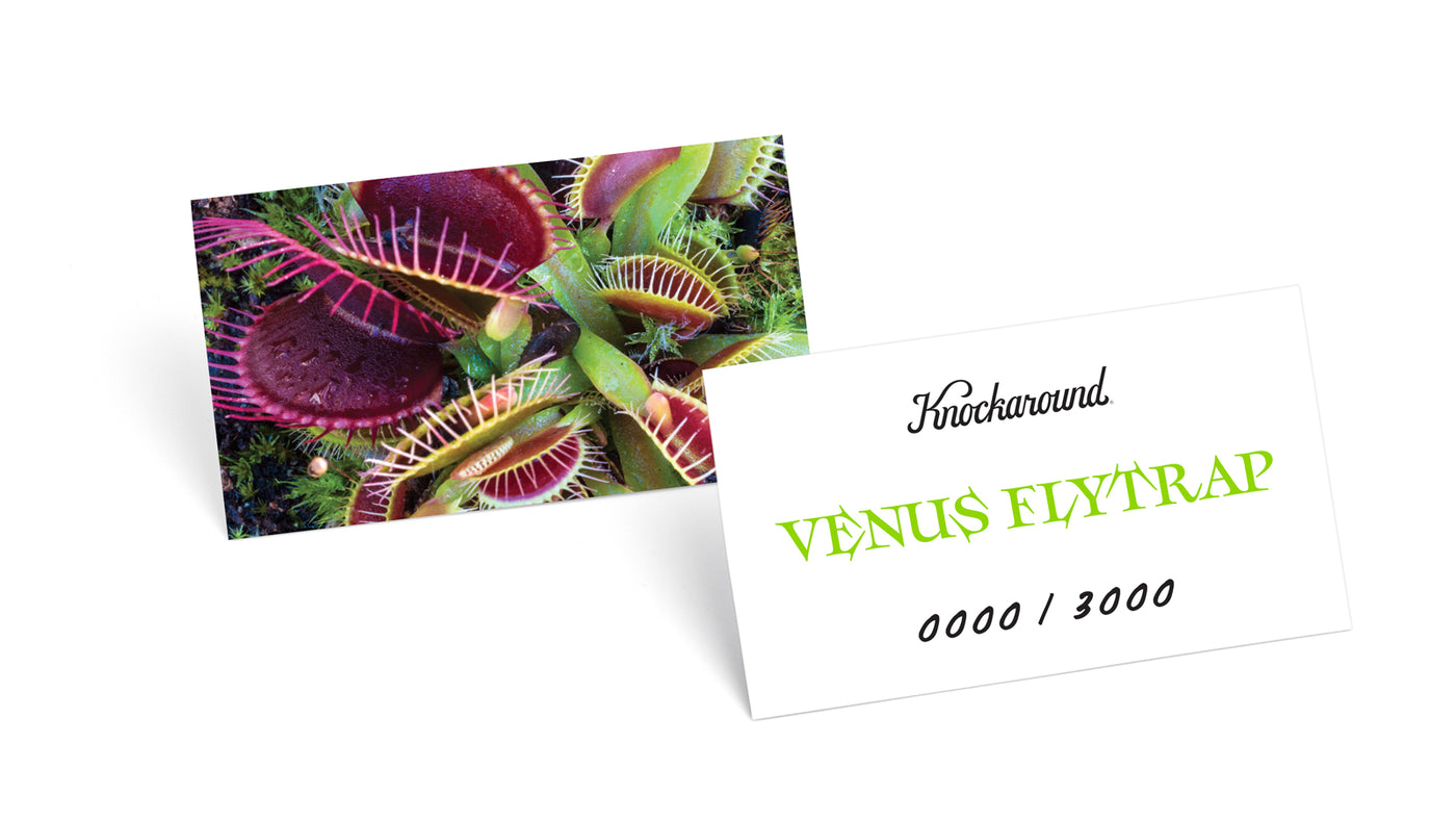 Limited Edition Venus Flytrap Sunglasses, Edition Card