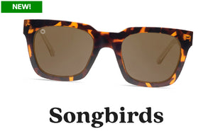 Shop Knockaround Songbirds