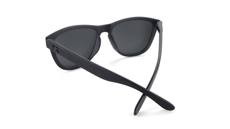 Sunglasses with Matte Black Frame and Black Smoke Lenses, Back
