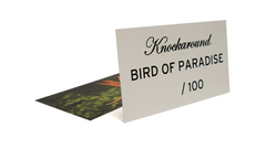 Knockaround Bird of Paradise Sunglasses, Insert Card