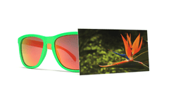 Knockaround Bird of Paradise Sunglasses, Front
